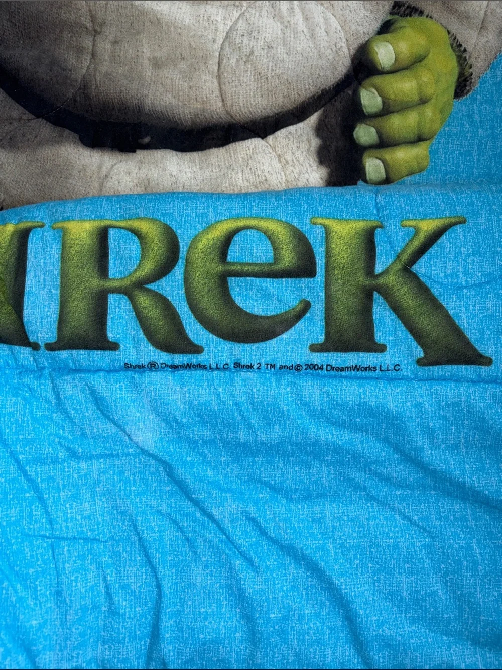 Shrek kids 2004